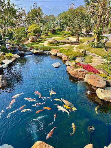 mau-trang-tri-ho-ca-koi-ngay-tet