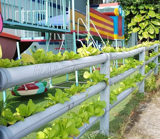 tao-hang-rao-rau-xanh