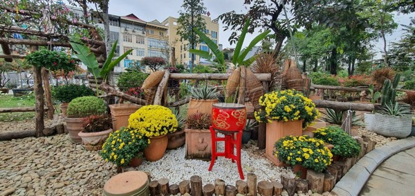 tao-mot-khu-tieu-canh-chau-hoa-mai-vang