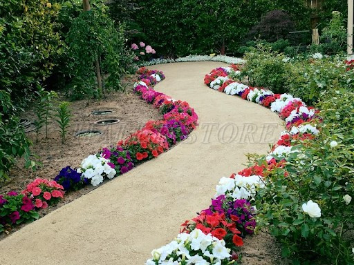 them-mot-loi-di-day-hoa-tuoi