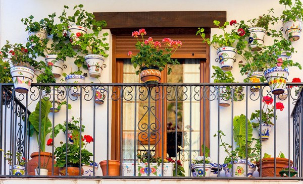 trang-tri-cay-canh-ban-cong-ngay-tet