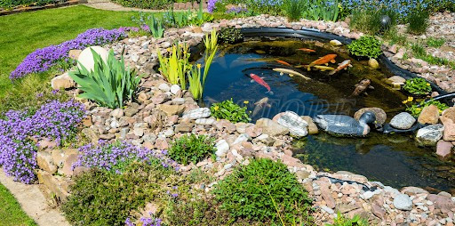 trang-tri-goc-san-vuon-voi-ho-ca-koi