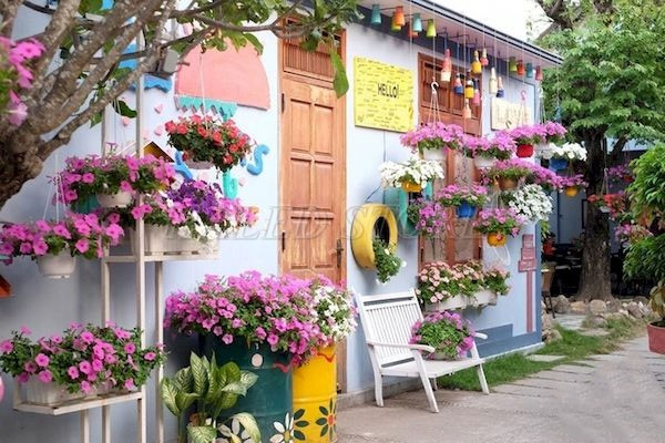 treo-chau-hoa-nho-trong-khu-san-vuon-ngay-tet