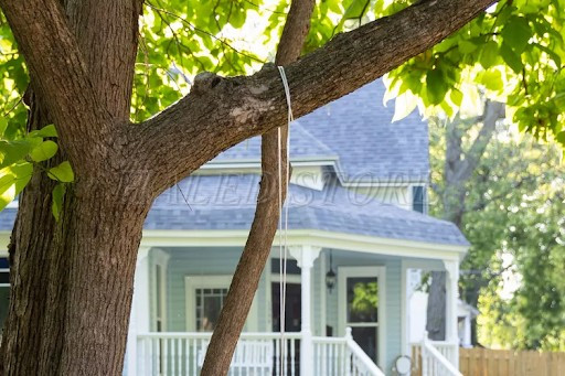 treo-day-thung-qua-canh-cay