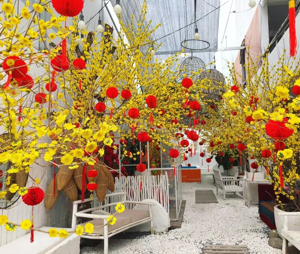 treo-nhung-mau-den-long-nho-tren-canh-hoa-mai