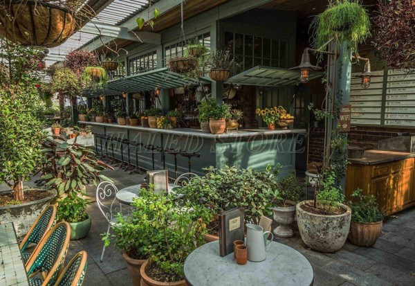 decor-nhung-chau-cay-xanh-tai-goc-quan