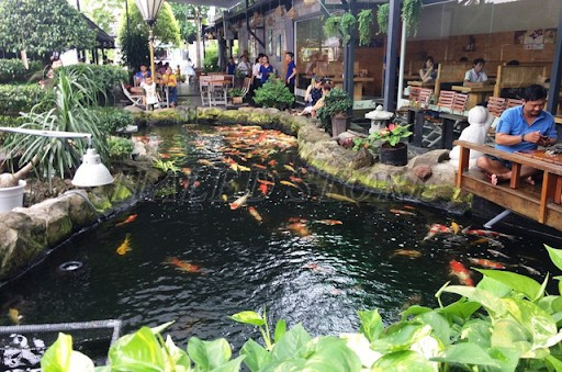 mau-ho-ca-koi-quan-nhau-1