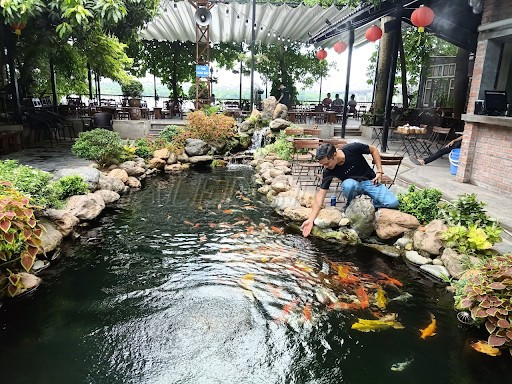 mau-ho-ca-koi-quan-nhau-2