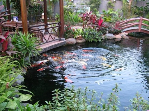 Mẫu hồ cá koi quán nhậu 3