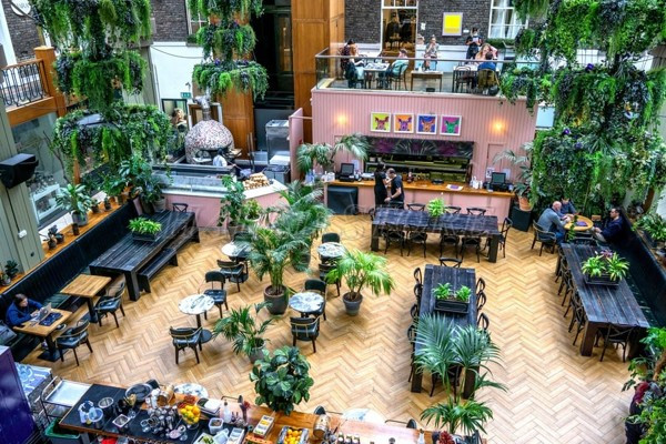 mau-trang-tri-cay-canh-trong-quan-nhau