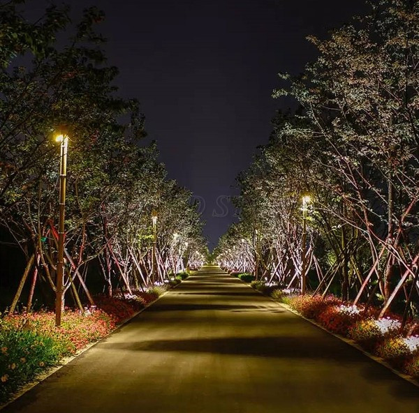 Đèn LED chiếu cây tạo điểm nhấn đậm chất nghệ thuật