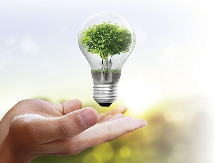 Bóng đèn LED rất thân thiện với môi trường. 