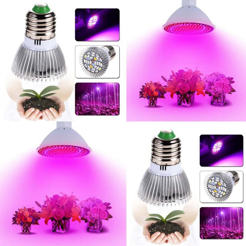 Đèn UV 28W GV-ZW0155 