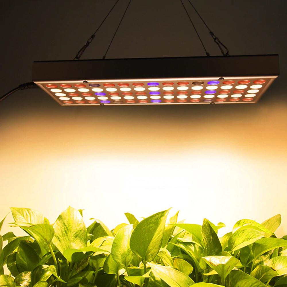 Đèn LED UV trồng cây full quang phổ 