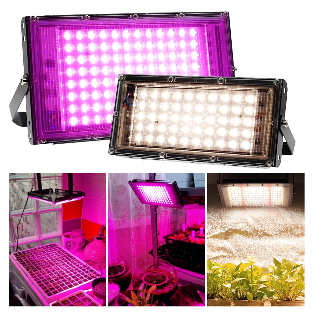 HALED STORE là đơn vị chuyên phân phối các dòng đèn LED UV uy tín. 