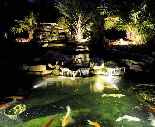 Báo giá đèn LED âm nước hồ cá 