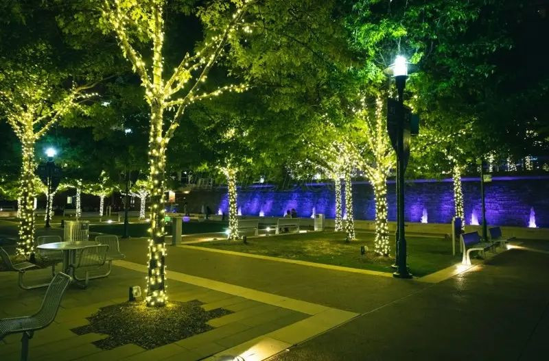 Hướng dẫn cách chọn đèn chiếu cây chống nước phù hợp 