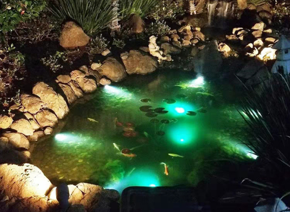 Tại sao nên sử dụng đèn âm nước cho hồ cá