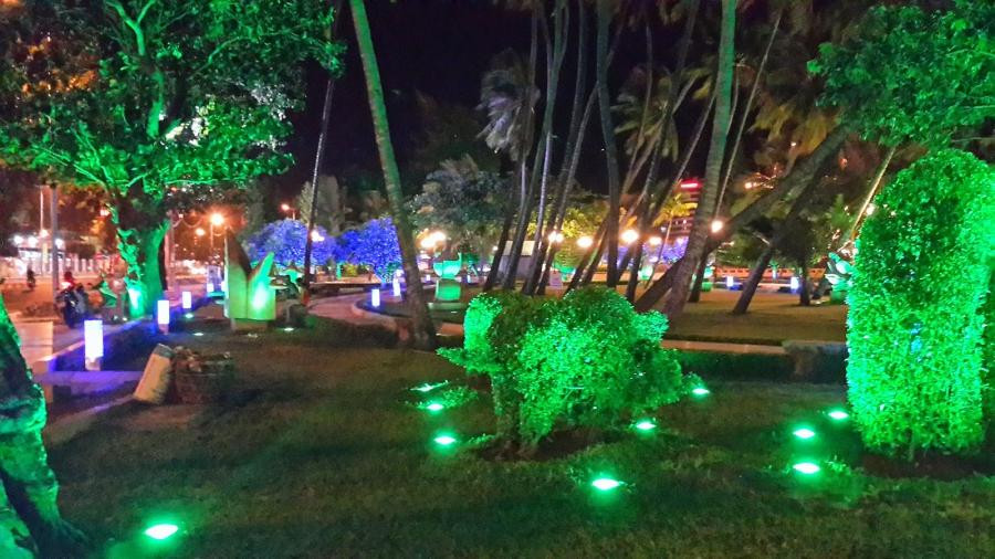 Tại sao đèn LED chiếu cây 7 màu lại được ưa chuộng sử dụng?