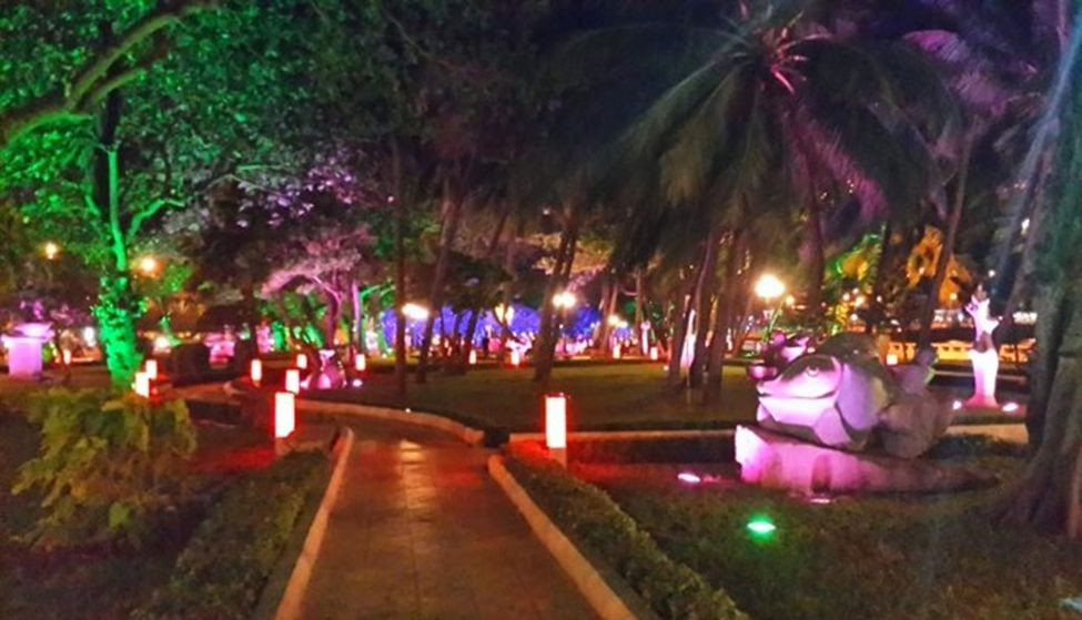 Đèn chiếu cây 7 màu là gì