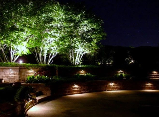 Các mẫu đèn chiếu cây của Rạng Đông hiện đang rất được ưa chuộng trên thị trường. 