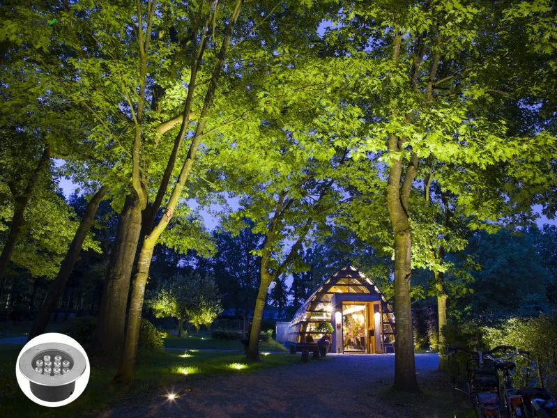 Đèn LED âm đất chiếu cây 