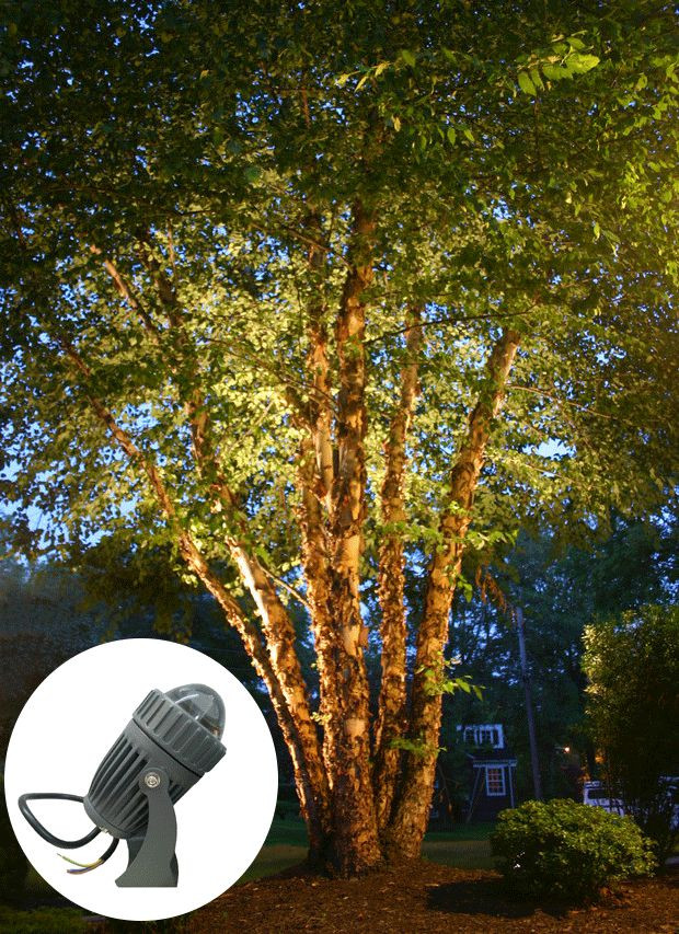 Đèn LED chiếu hắt cây 