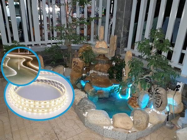 Đèn LED dây được dùng làm viền cho hồ cá tiểu cảnh sân vườn. 