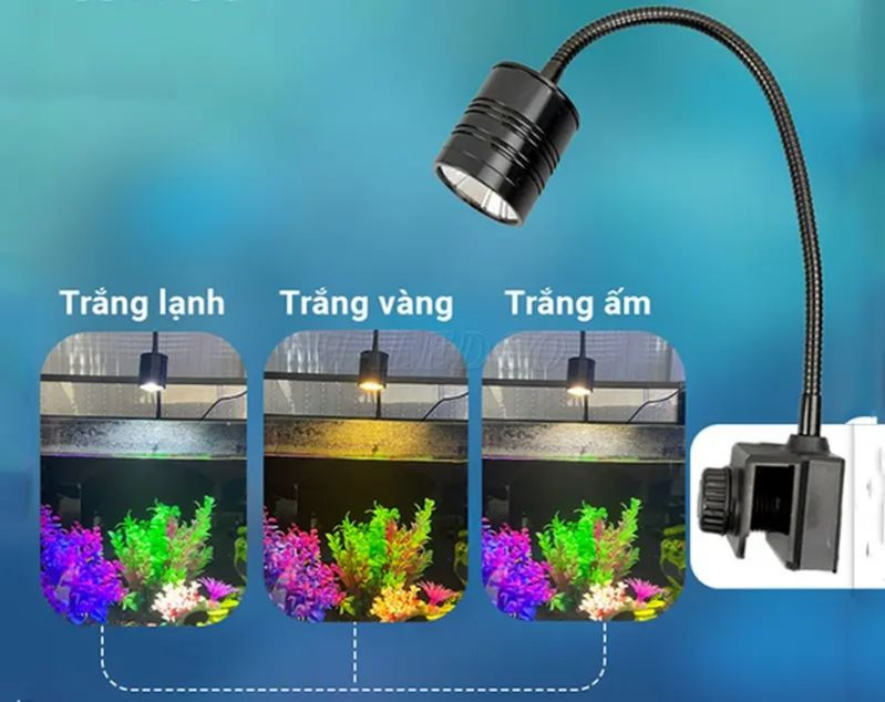 Đèn rọi thủy sinh Biotop 3W