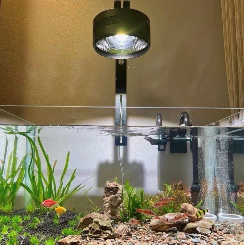 ại sao cần sử dụng đèn rọi bể cá