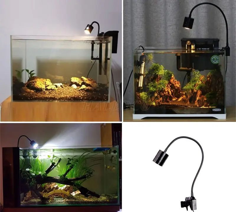 Hướng dẫn lựa chọn đèn rọi bể cá phù hợp với nhu cầu sử dụng 