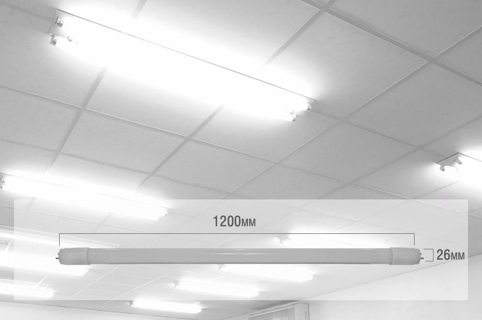 Một số lưu ý chọn đèn tuýp LED phù hợp với không gian  