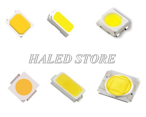 Chip LED của đèn