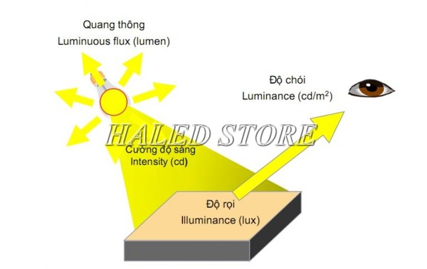 Độ chói của đèn