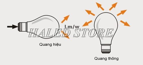 Quang hiệu là gì?