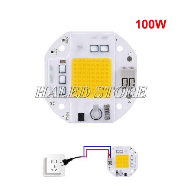 Chip LED 100W 220V