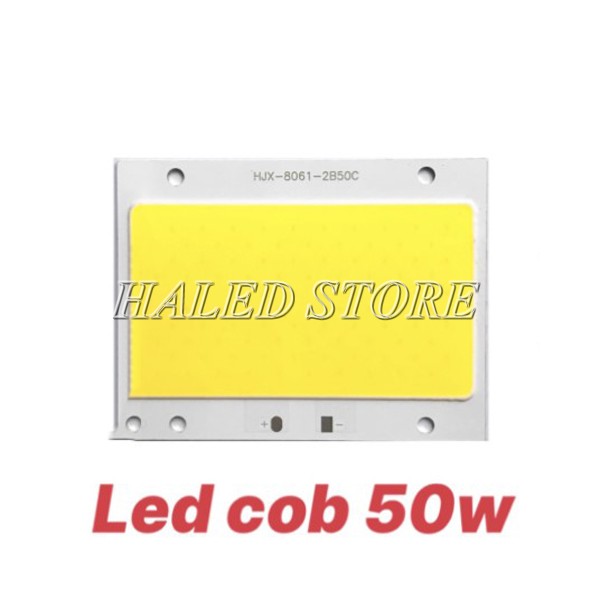LED 50w chống nước