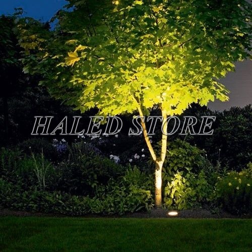 Ứng dụng chiếu sáng của đèn LED chiếu cây HLDAOG1-1