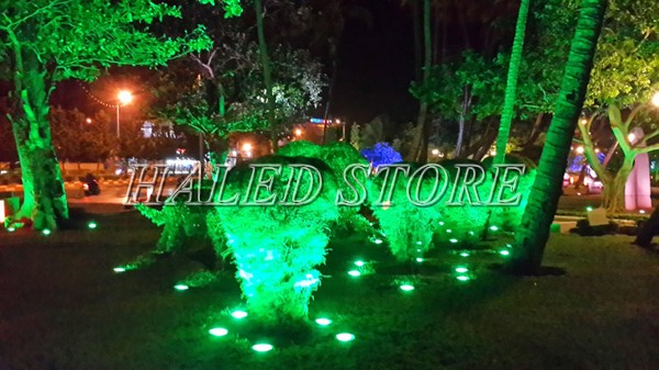 Ứng dụng chiếu sáng của đèn LED chiếu cây HLDAOG1-24 RGB