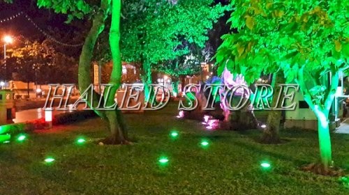 Ứng dụng chiếu sáng của đèn LED chiếu cây HLDAOG1-24